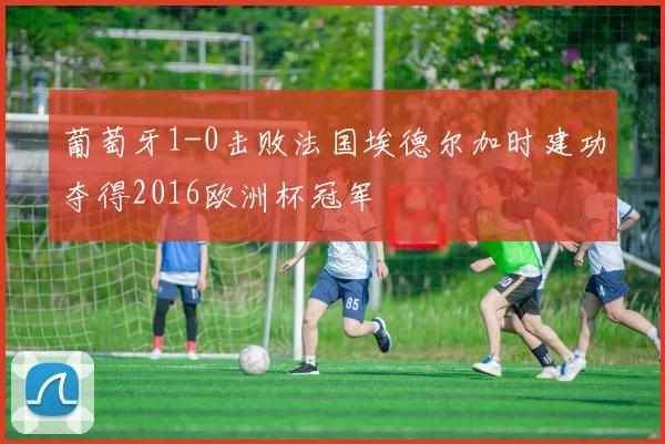葡萄牙1-0击败法国埃德尔加时建功夺得2016欧洲杯冠军